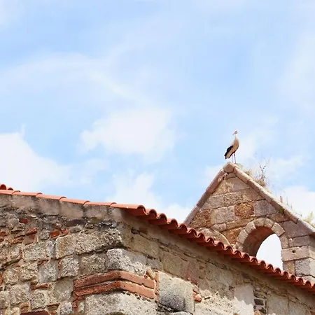 Holiday home 9, Cimo Da Aldeia *