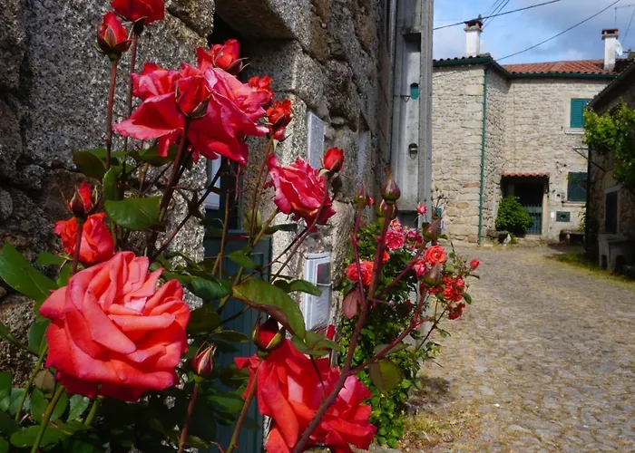 בית נופש 9, Cimo Da Aldeia *